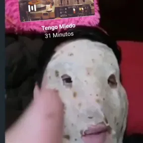 Rinodaniel