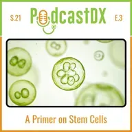 S21 Ep3: A Stem Cell Primer