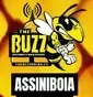 The Buzz Assiniboia