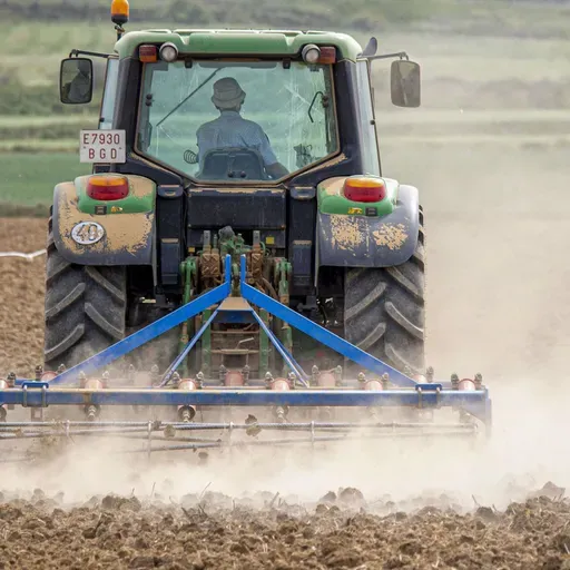 Breves de actualidad:  El paro en el sector agrícola descendió en mayo un 2,77 %