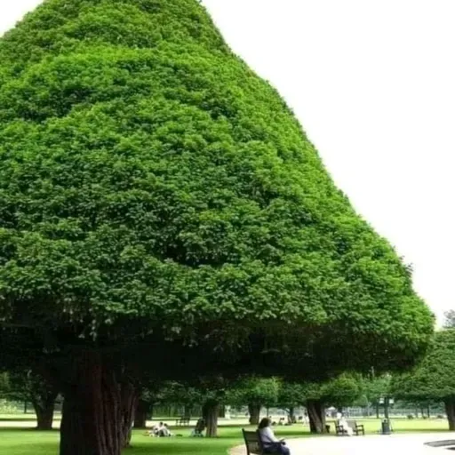 20 tips ✨✨✨✨✨