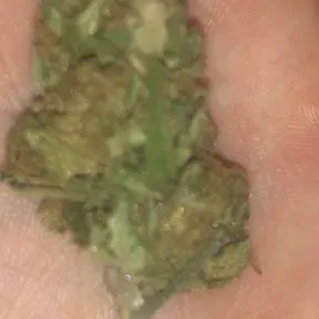 Skero Bangers