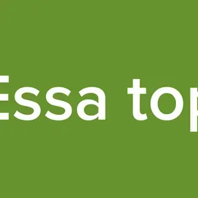Essa top