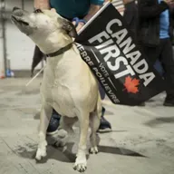 The Canadian Dispatch