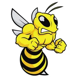 BEEHIVE XM