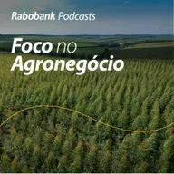 Celulose brasileira posicionada para crescer no mercado Americano