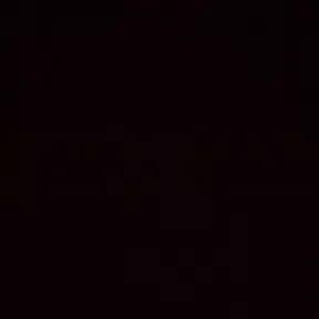 OFICIAL