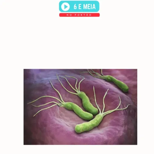 EP.419 - Helicobacter, sortido e Minhoto