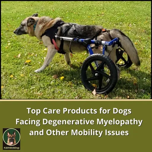 Top Care Products for Dogs Facing Degenerative Myelopathy and Other Mobility Issues