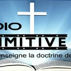 RADIO PRIMITIVE FM