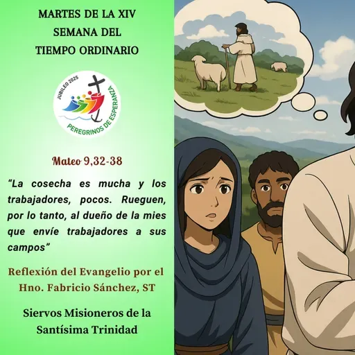 Reflexión del Evangelio del 08 de Julio de 2025
