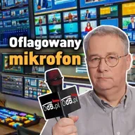 sE Electronics V7 ENG - dynamiczny mikrofon dla reportera