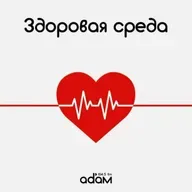 ЗДОРОВАЯ СРЕДА/ ДИСФУНКЦИЯ ТАЗОВОГО ДНА/ 08.04.2026