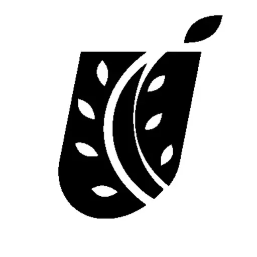 Operaciones | Organización parte 3