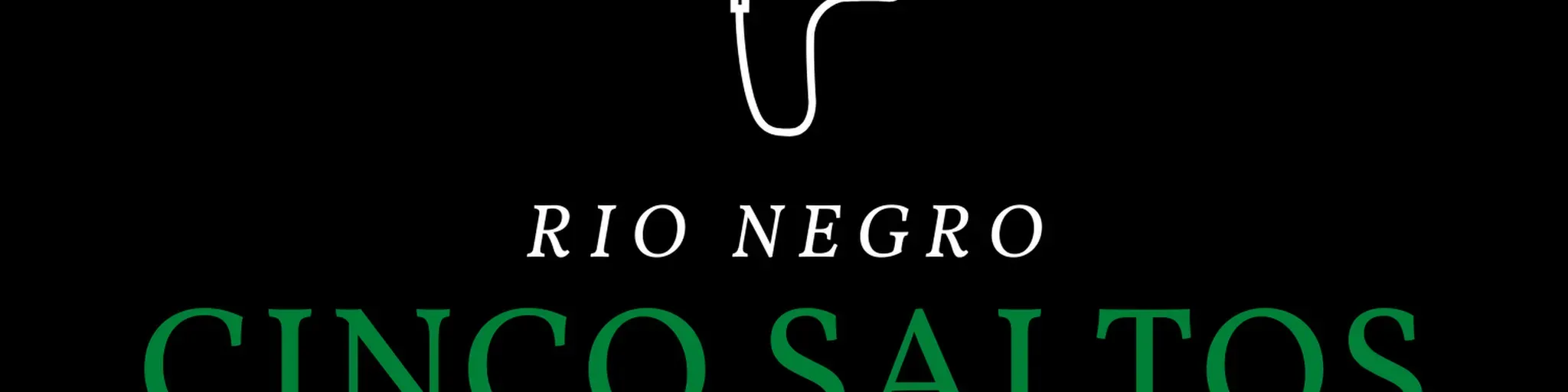 CINCO SALTOS ONLINE