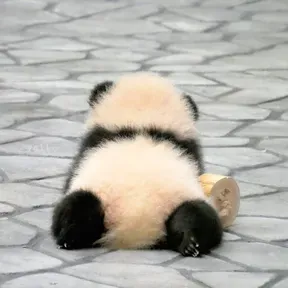 fluffyppang