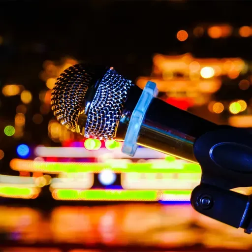 Dong Lina: An unconventional broadcaster and voice artist