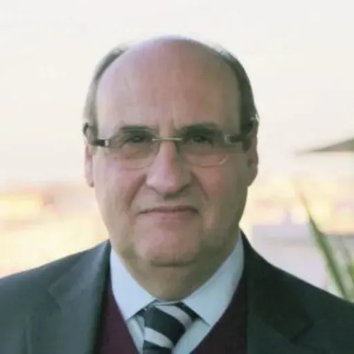 António Vitorino: "Ambiguidade sobre o artigo 5º da NATO suscita enorme apreensão"