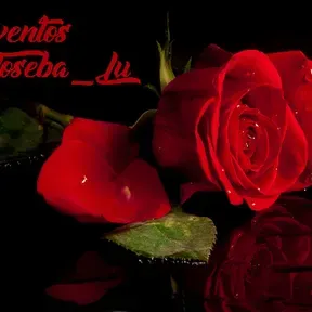 JOSI AMBIENTAL E INSTRUMENTAL