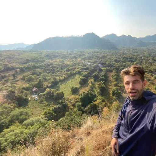 Renacer como Ave Fénix