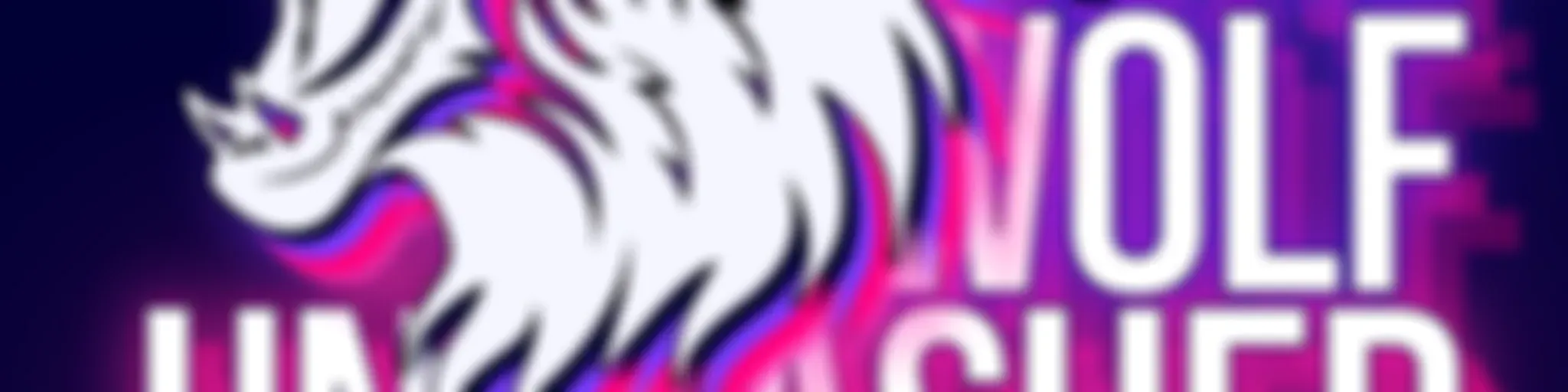 Lone Wolf Unleashed - avoid exhaustion, reclaim your time using tools, systems and AI