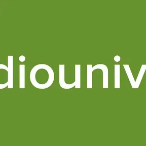 Radiounivers