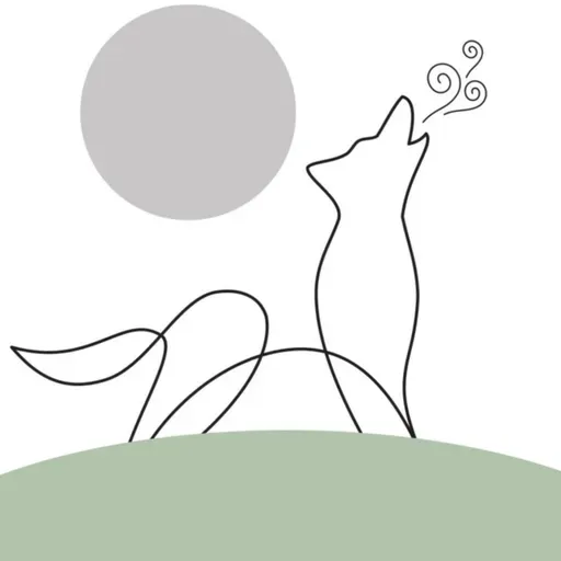 Conexão Lua Crescente