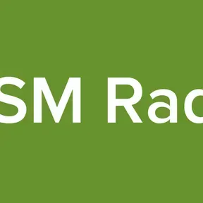 RVSM Radio1