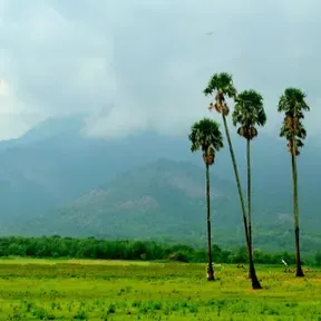 Palakkad FM