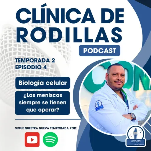 🧬 Biología Celular: ¿Los meniscos siempre se tienen que operar? 🤔🦵💉