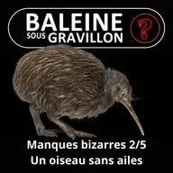 S07E109 Vous avez dit bizarre ? Manques 2/5 : Le Kiwi, un oiseau sans ailes