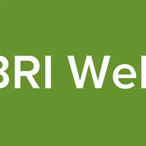 BRI Web