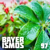 Bayerismos 97 - Esse Não é Um Episódio Sobre Plantas
