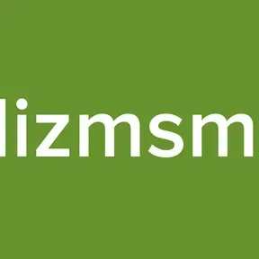 Nizmsmd