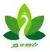 The Radio Network - Radio Sunera