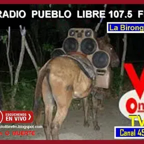 PUEBLO LIBRE  WEB