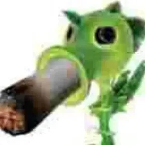 Bélicas