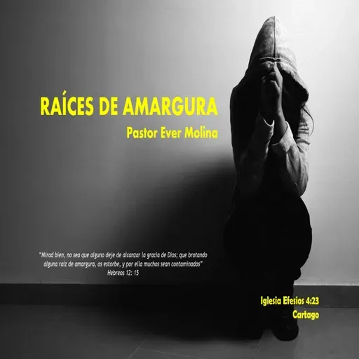 RAÍCES DE AMARGURA