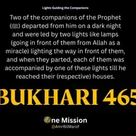 Lights Guiding the Companions
