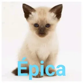 epica.com