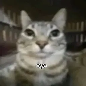 SampXdd