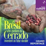 Au Brésil, les gardiens du Cerrado inventent un futur durable 1/5 : Le quilombo Macuco en quête d’autonomie alimentaire : "Nous résistons ici"