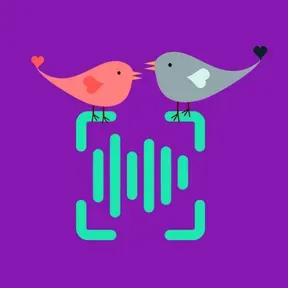 Radio Pajarita y Pajarito