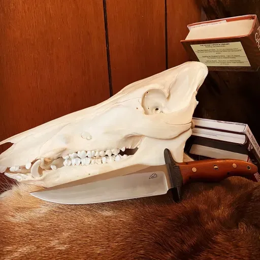 A Knife For Life: Evan Siembida and the Best Hunting Knives in the World