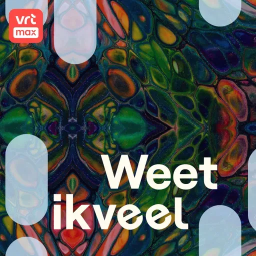 Psychedelische therapie