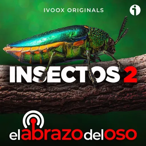 Insectos 2 - El abrazo del Oso