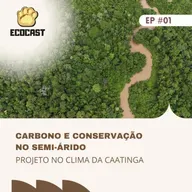 [#ESPECIAL CARBONO] Carbono e conservação no semi-árido