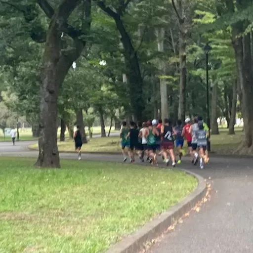 朝ラン17℃。昨夜の悪夢と夢の小金井公園と連合国と同盟国と初詣参拝客ランキングベストテン。#1647 from Radiotalk
