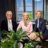 "Elust ja poliitikast": Kersti Kaljulaid ei sobi presidendiks!