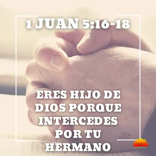 1 Juan 5:16-18 - Eres hijo de Dios porque intercedes por tu hermano | Devocional cristiano diario